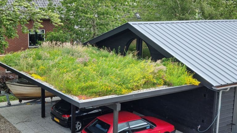 Groene gevels en daken voor meer biodiversiteit